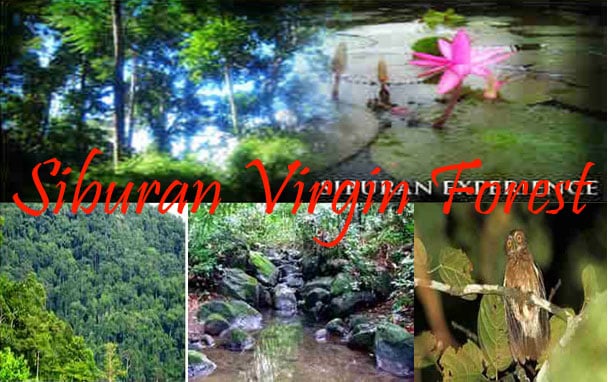 siburan